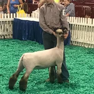 Meet your Posher, Blake